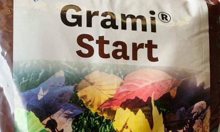 Wellness für den Rasen