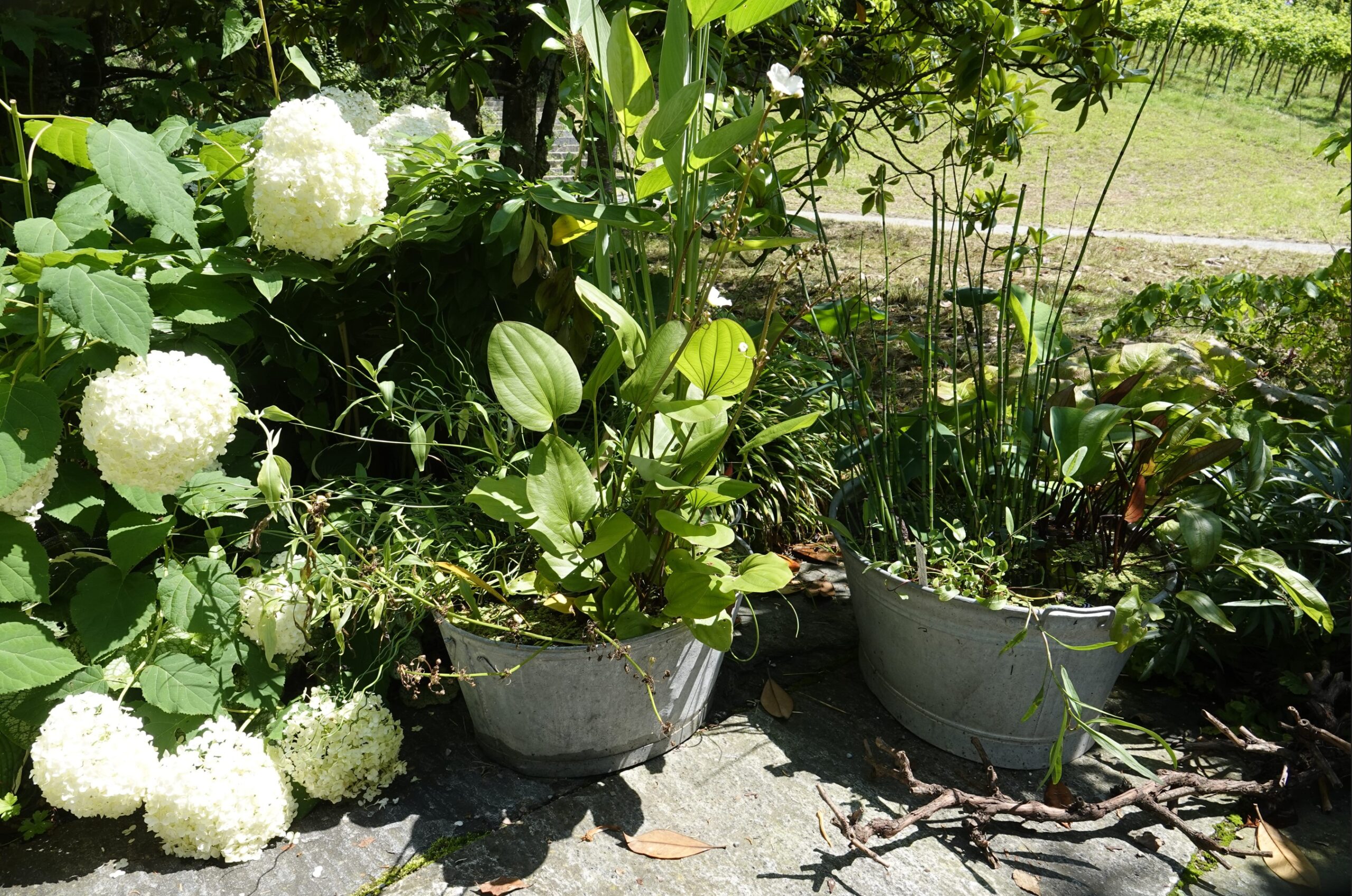 Wir wünschen allen eine schöne Ferienzeit
