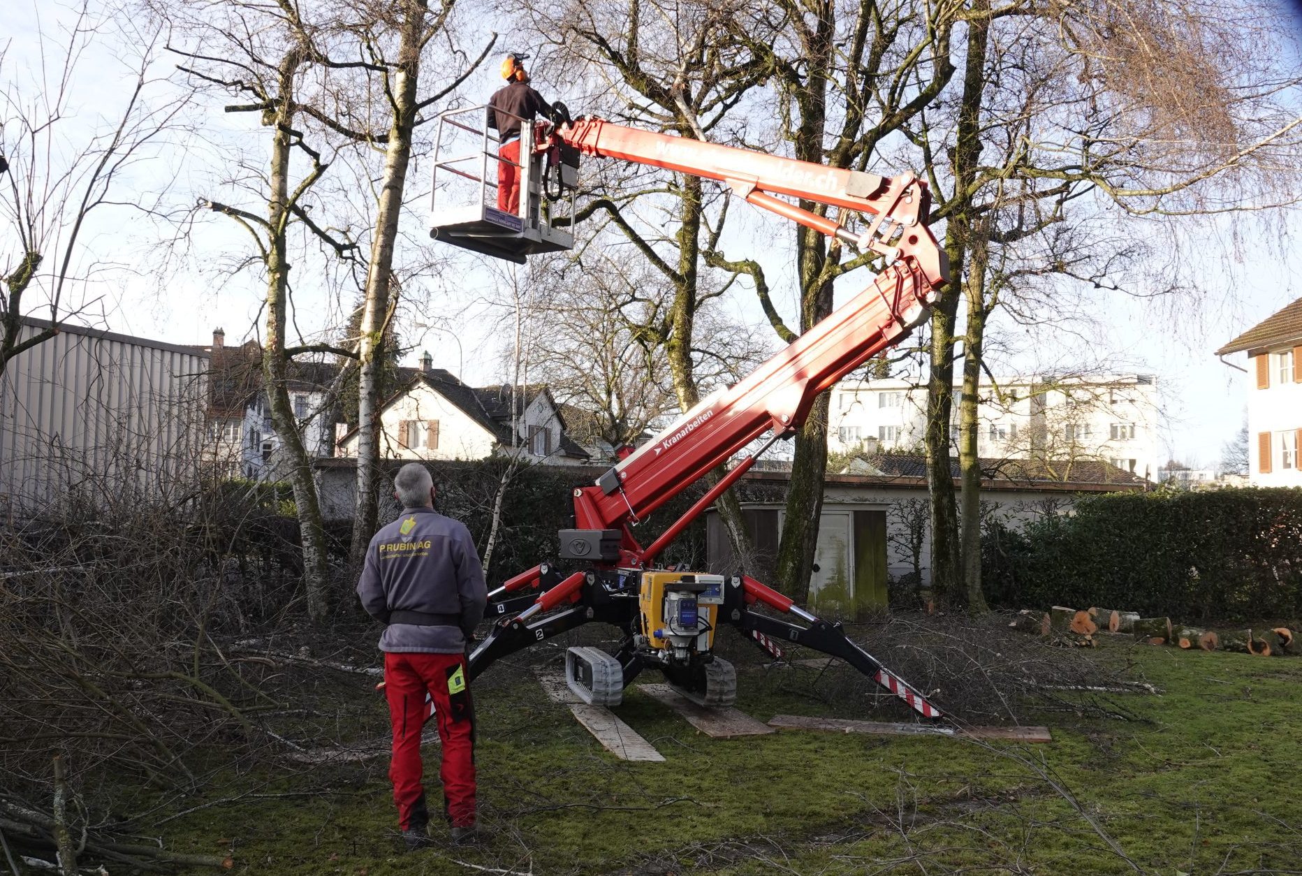 Baumpflege und Formschnitt