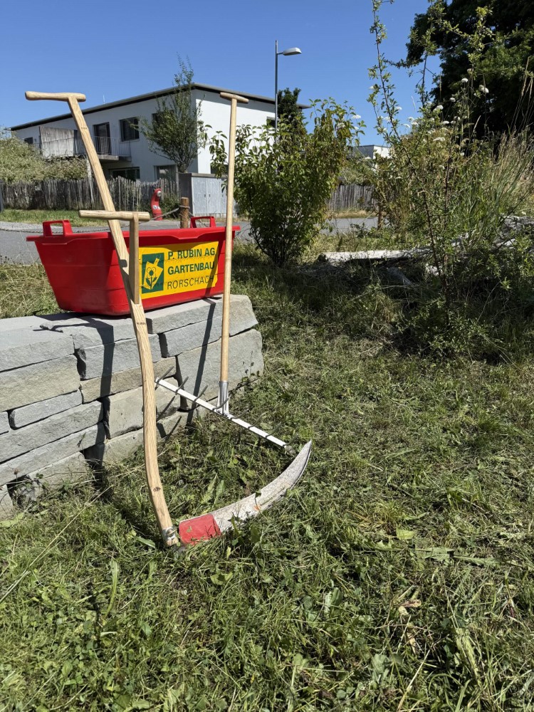 Biodiversität Blumen-Wiesen